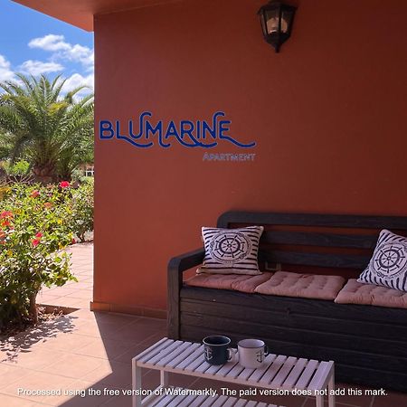 شقة Tamarindo Blumarine - Pool & Wifi Free 4 Persons كوراليهو المظهر الخارجي الصورة
