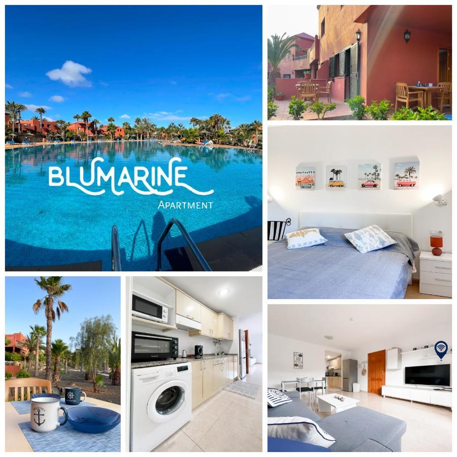 شقة Tamarindo Blumarine - Pool & Wifi Free 4 Persons كوراليهو المظهر الخارجي الصورة