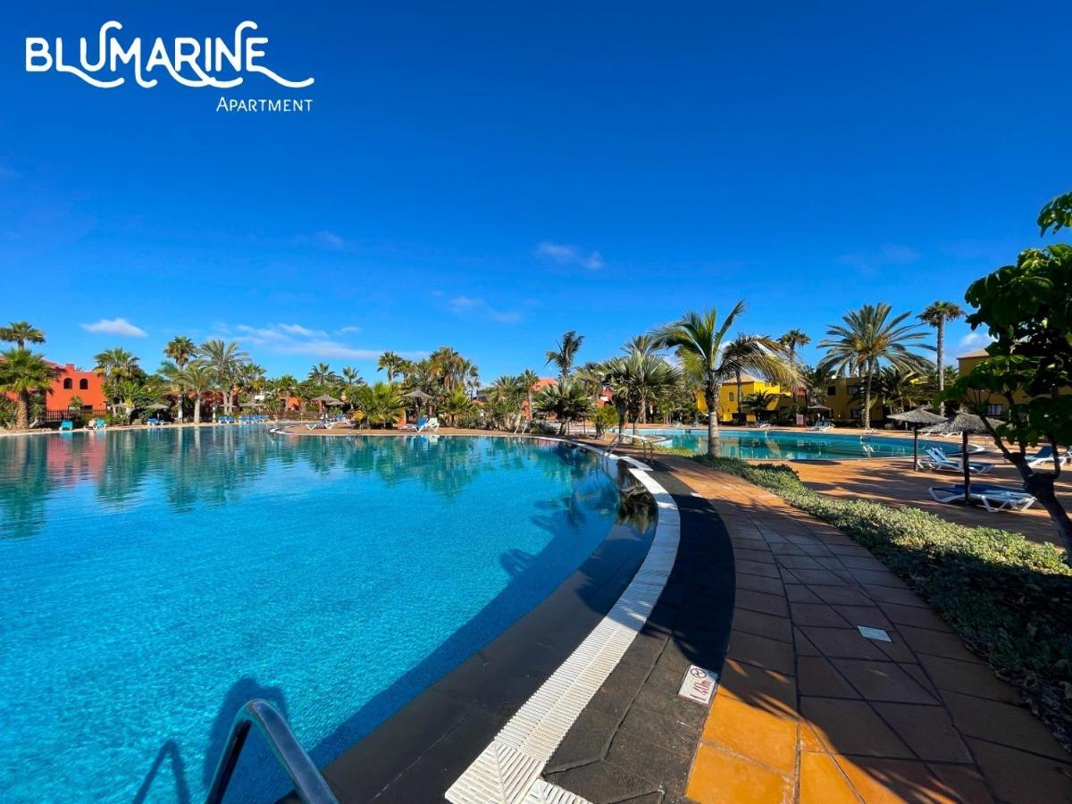 شقة Tamarindo Blumarine - Pool & Wifi Free 4 Persons كوراليهو المظهر الخارجي الصورة