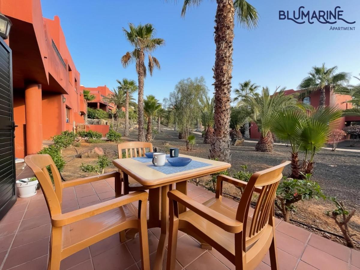 شقة Tamarindo Blumarine - Pool & Wifi Free 4 Persons كوراليهو المظهر الخارجي الصورة