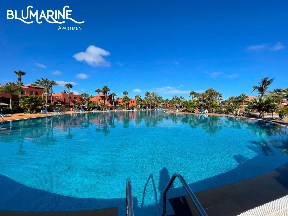 شقة Tamarindo Blumarine - Pool & Wifi Free 4 Persons كوراليهو المظهر الخارجي الصورة