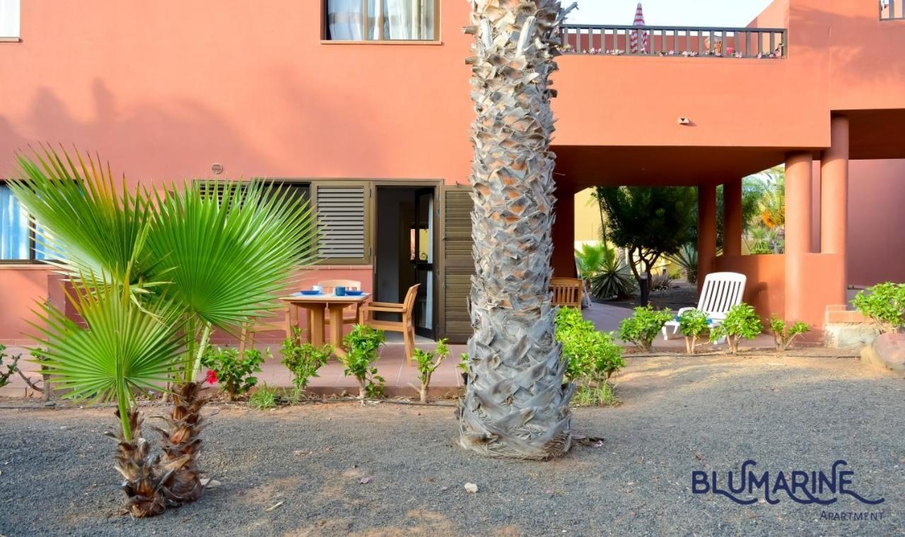 شقة Tamarindo Blumarine - Pool & Wifi Free 4 Persons كوراليهو المظهر الخارجي الصورة