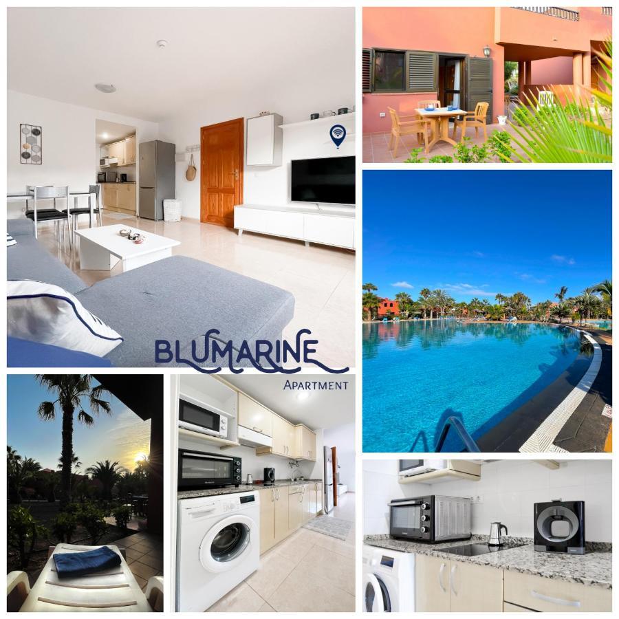 شقة Tamarindo Blumarine - Pool & Wifi Free 4 Persons كوراليهو المظهر الخارجي الصورة