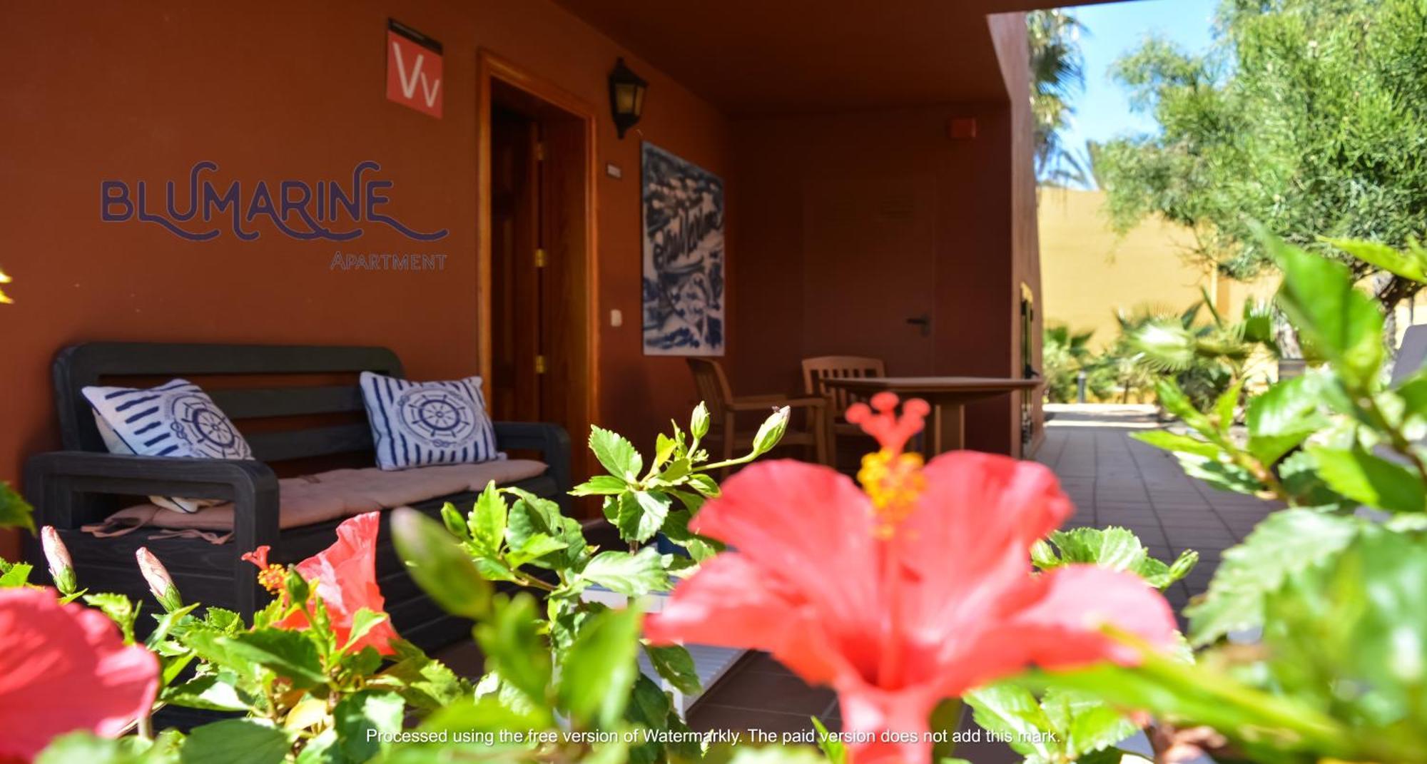 شقة Tamarindo Blumarine - Pool & Wifi Free 4 Persons كوراليهو المظهر الخارجي الصورة