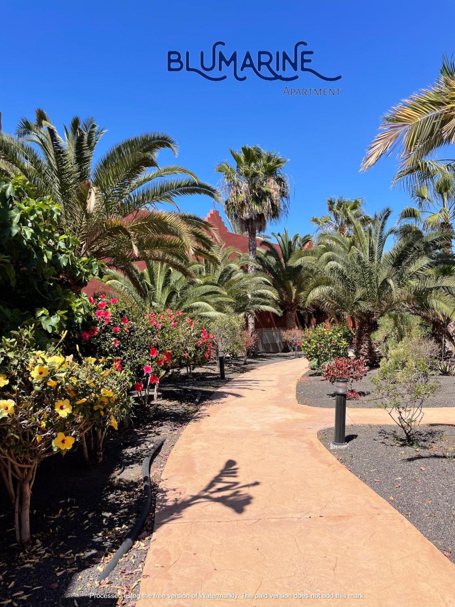 شقة Tamarindo Blumarine - Pool & Wifi Free 4 Persons كوراليهو المظهر الخارجي الصورة