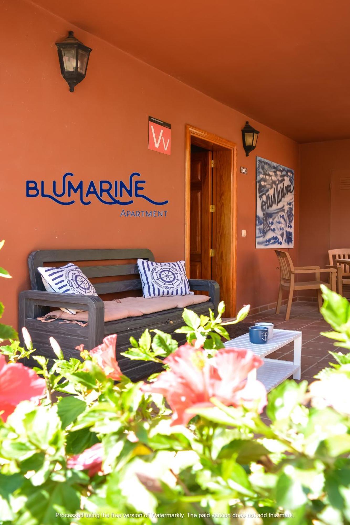 شقة Tamarindo Blumarine - Pool & Wifi Free 4 Persons كوراليهو المظهر الخارجي الصورة